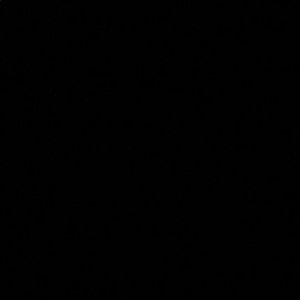 Meet your Posher, Max